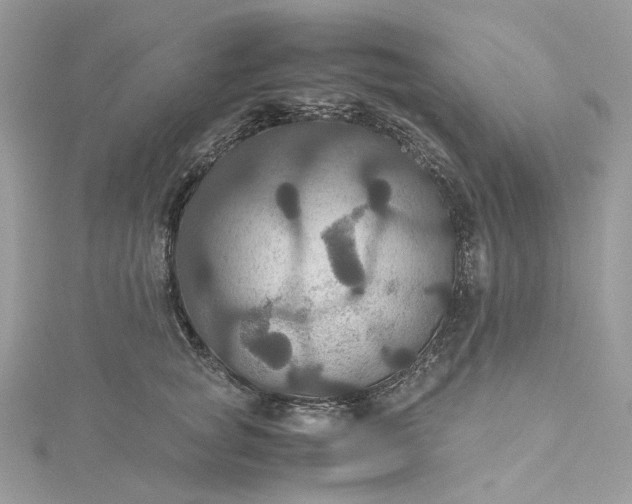 X0000115390757200911171456