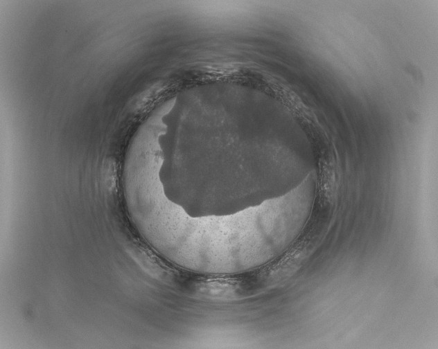 X0000115390758200911171456