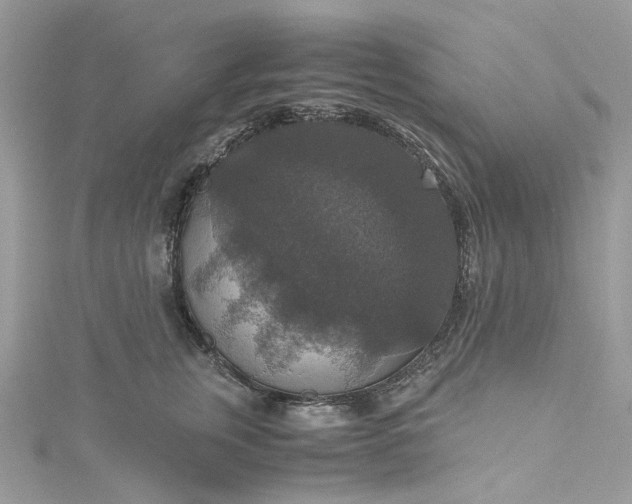 X0000115390759200911171456