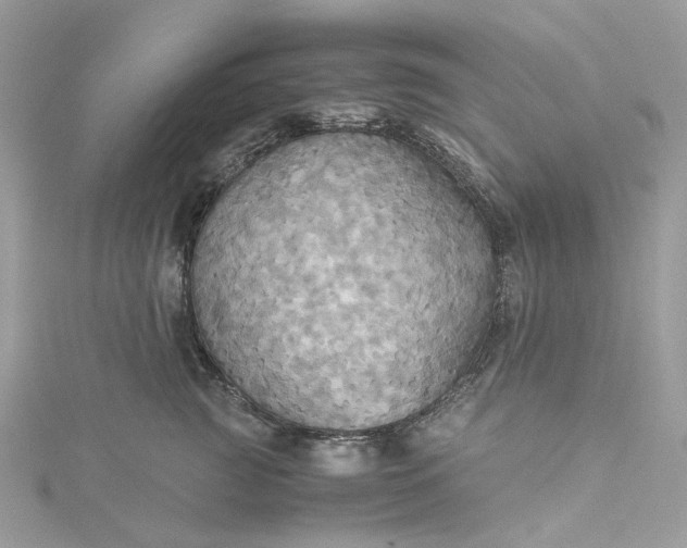 X0000115390761200911171456