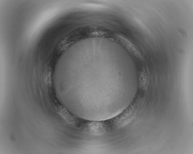 X0000115390762200911171456