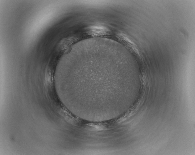 X0000115390763200911171456