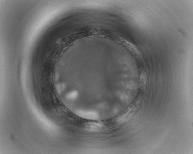 X0000115390765200911171456