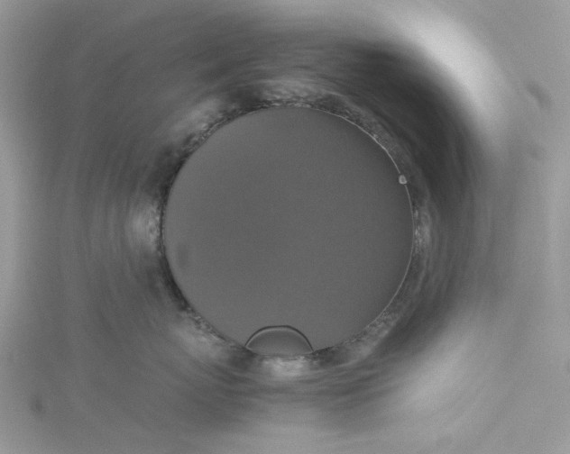 X0000115390767200911171456