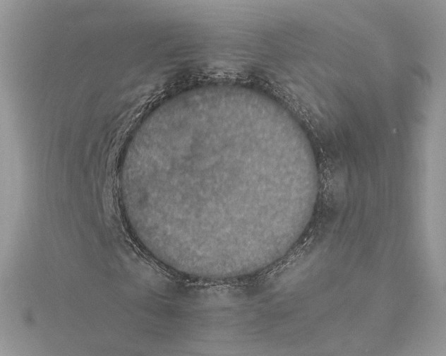 X0000115390769200911171456