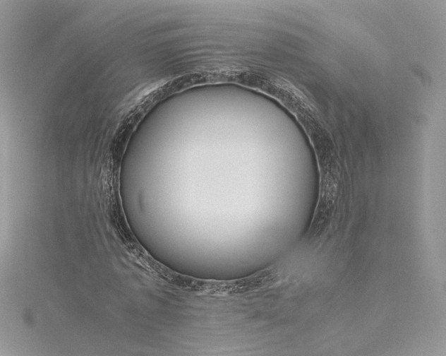 X0000115390773200911171456