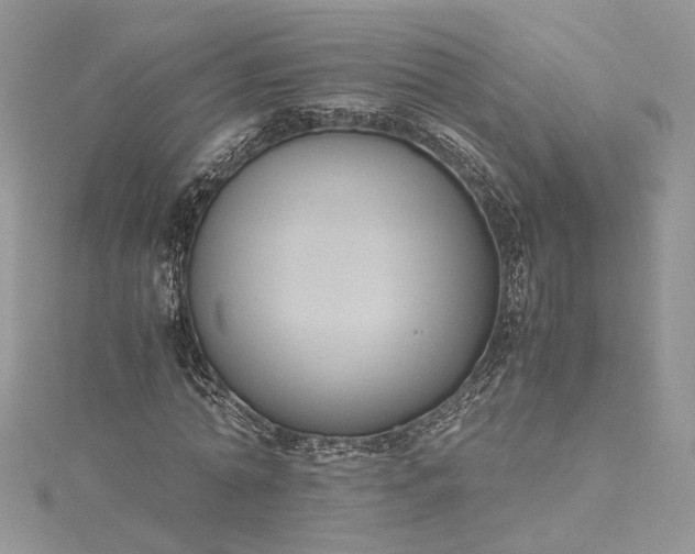 X0000115390774200911171456