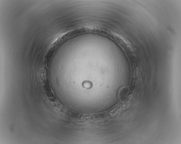 X0000115390776200911171456