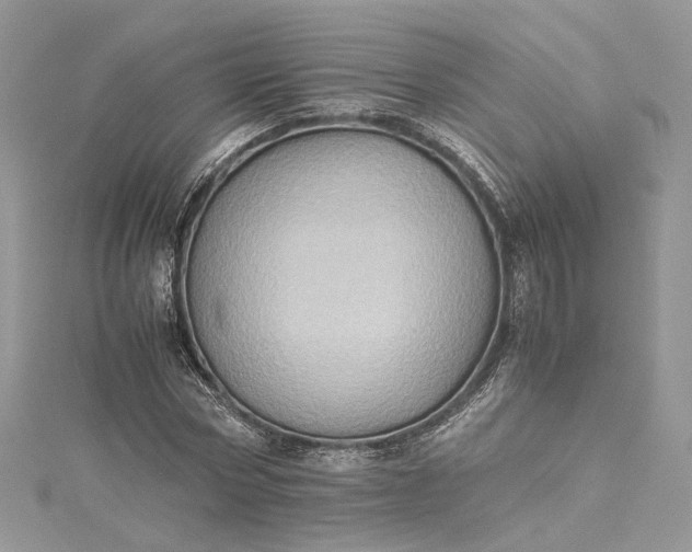 X0000115390778200911171456