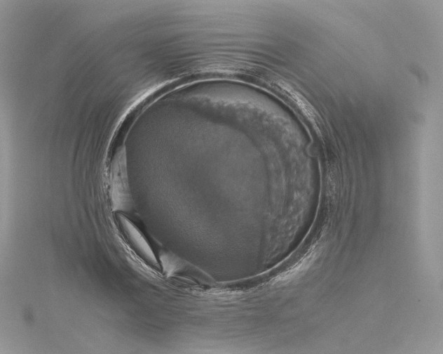 X0000115390779200911171456