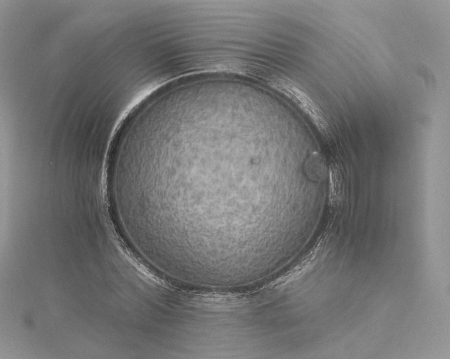 X0000115390780200911171456