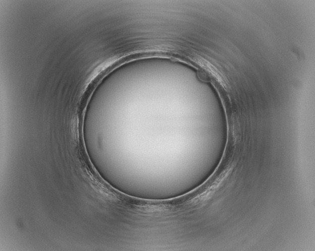 X0000115390781200911171456