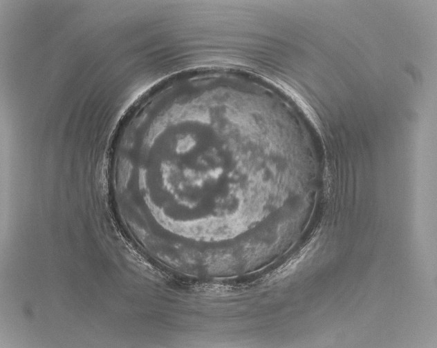 X0000115390783200911171455