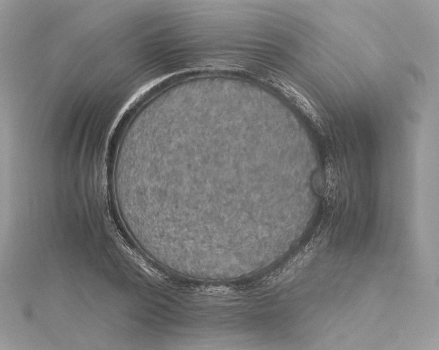 X0000115390784200911171455