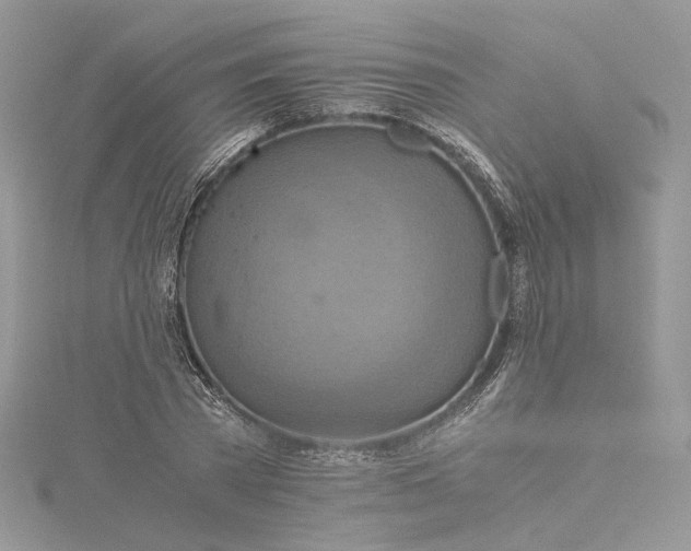 X0000115390785200911171455