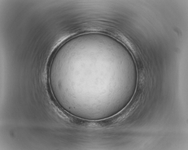 X0000115390787200911171455