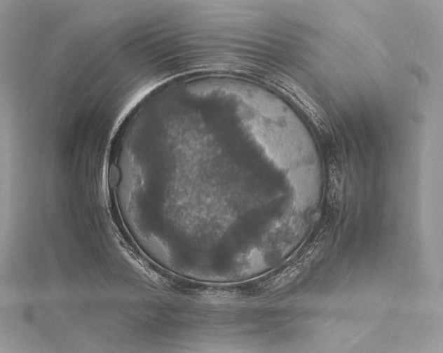 X0000115390788200911171455