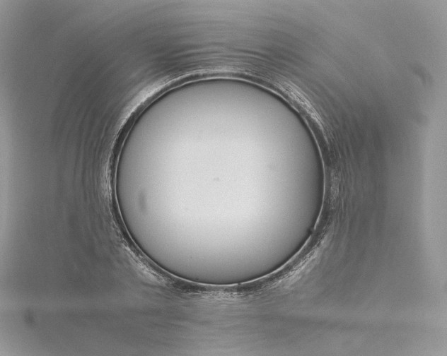 X0000115390789200911171455