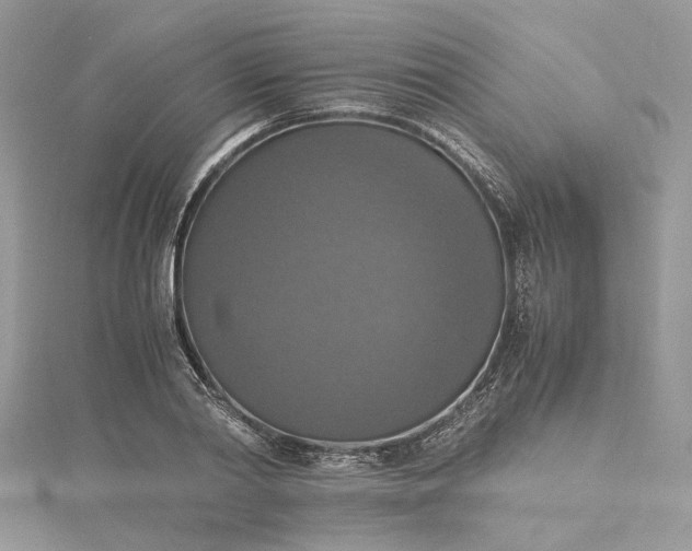 X0000115390790200911171455