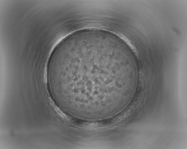 X0000115390791200911171455