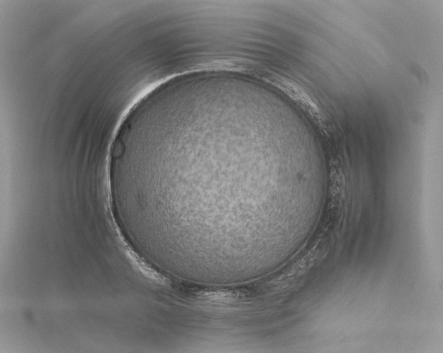 X0000115390792200911171455