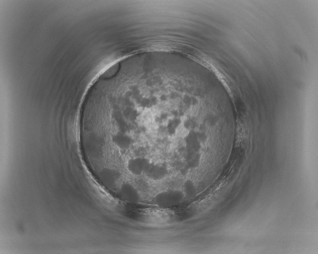 X0000115390795200911171455