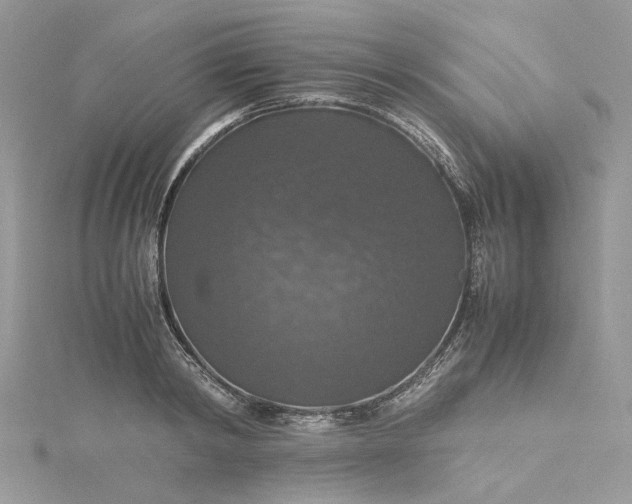 X0000115390798200911171455