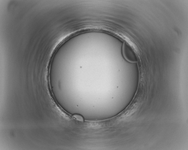 X0000115390799200911171455