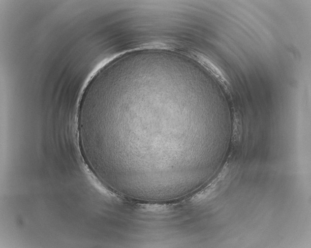 X0000115390800200911171455