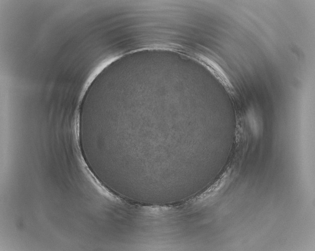 X0000115390804200911171455