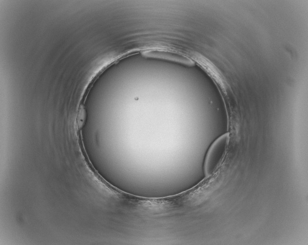 X0000115390805200911171455