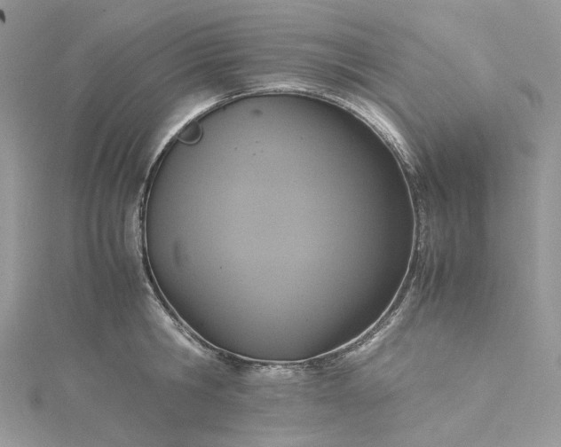 X0000115390806200911171455