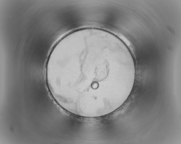 X0000115390807200911171455