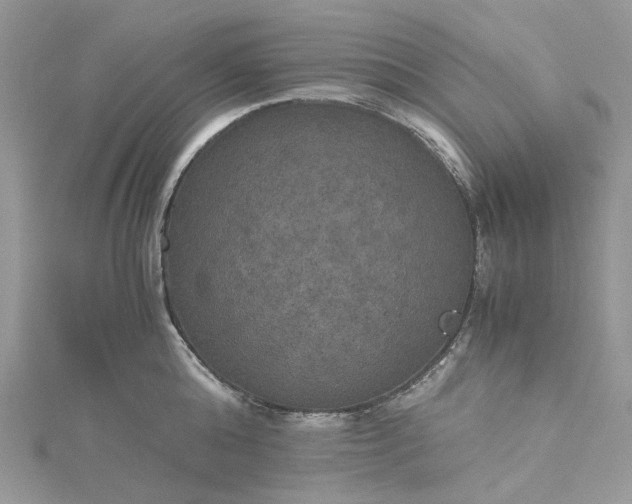 X0000115390808200911171455