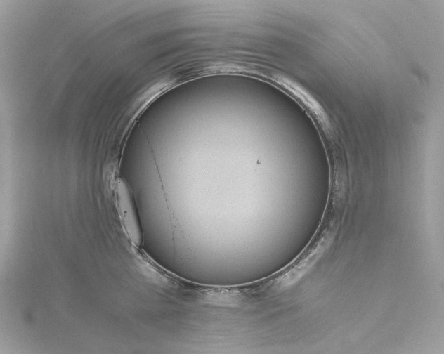 X0000115390809200911171455