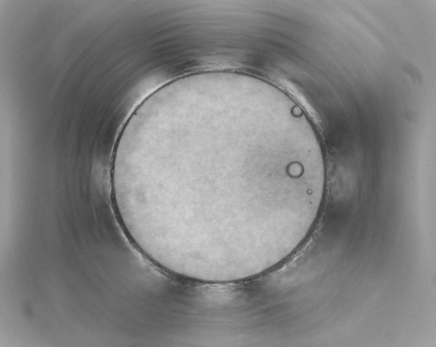 X0000115390810200911171455