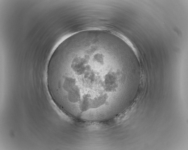 X0000115390811200911171455