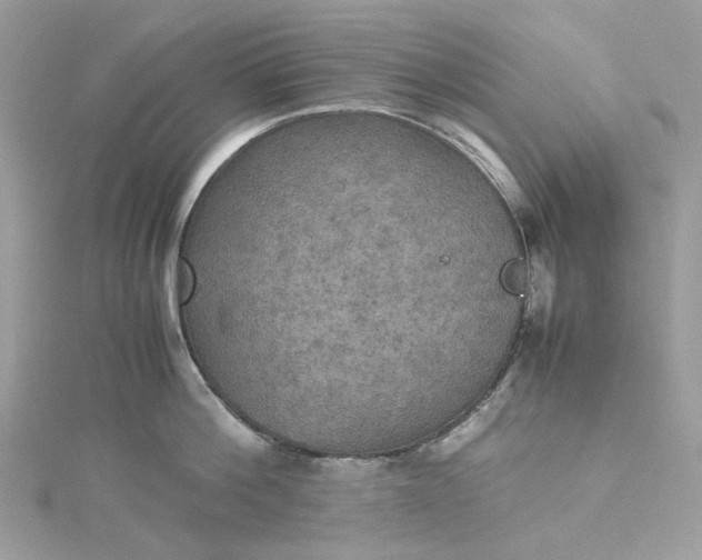 X0000115390812200911171455