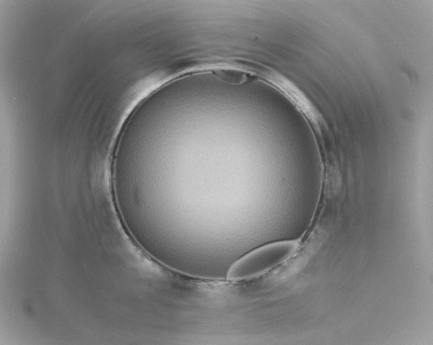 X0000115390813200911171455