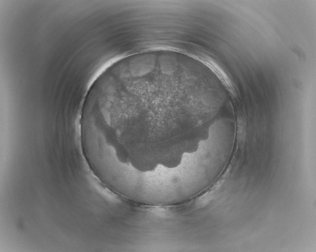 X0000115390814200911171455