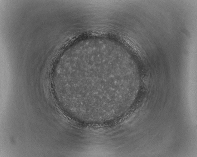 X0000115390817200911171454