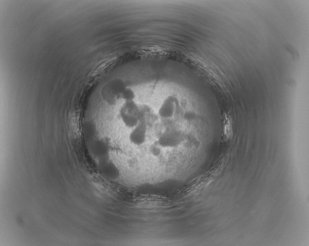 X0000115390819200911171454