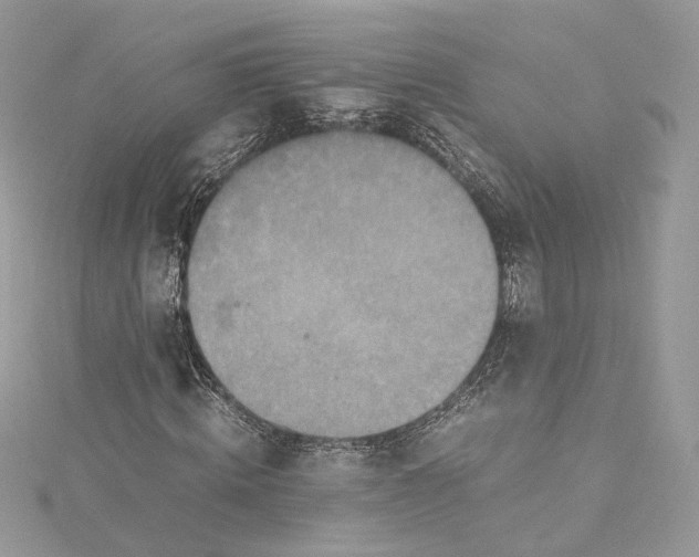 X0000115390820200911171454