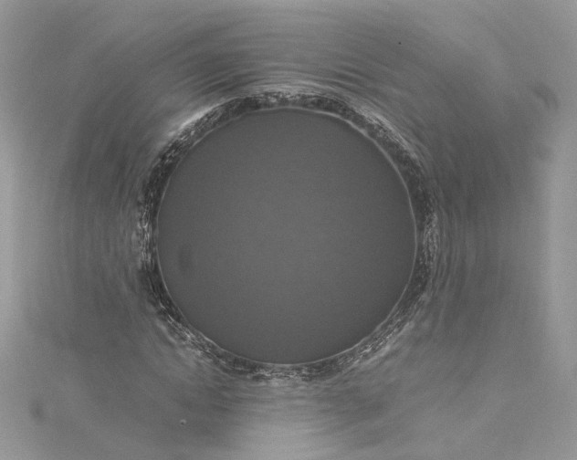 X0000115390822200911171455