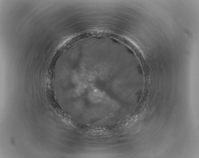 X0000115390823200911171455