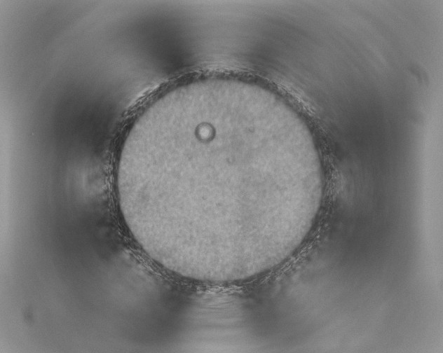 X0000115390824200911171455