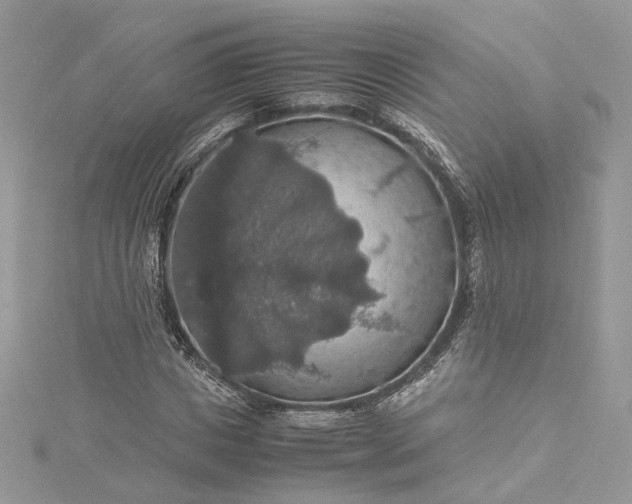 X0000115390825200911171455