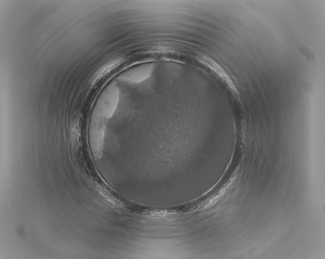 X0000115390826200911171455