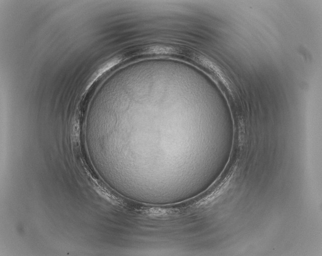 X0000115390827200911171455