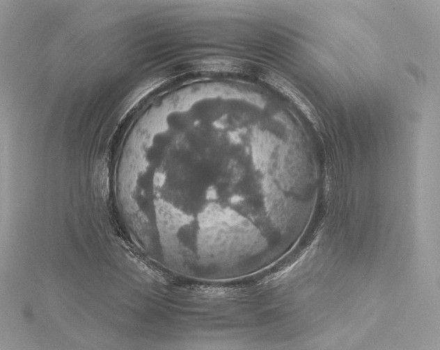 X0000115390829200911171455